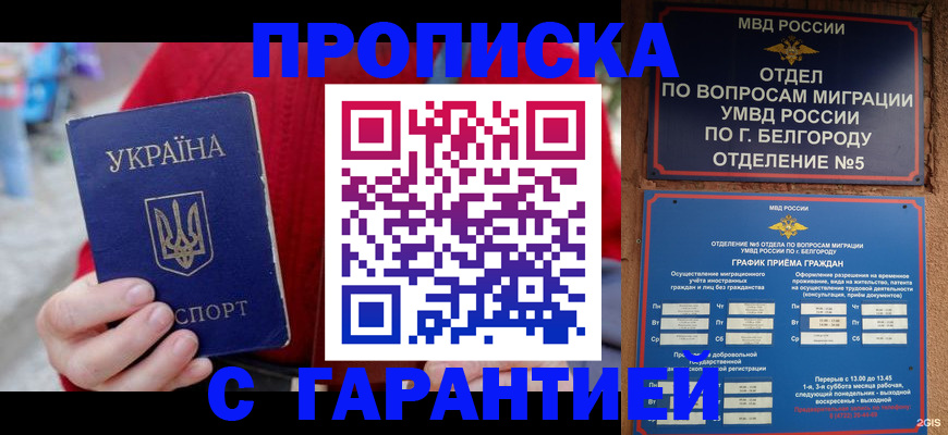 прописка поиск в Ростове-на-Дону
